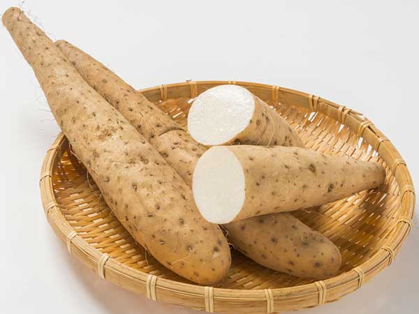 കാട്ടുചേന 