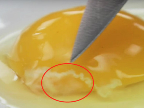 മുട്ടമഞ്ഞയില്‍ ഈ വെളുത്തഭാഗം, എങ്കില്‍..