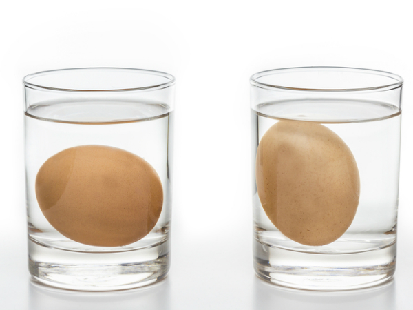 മുട്ടമഞ്ഞയില്‍ ഈ വെളുത്തഭാഗം, എങ്കില്‍..