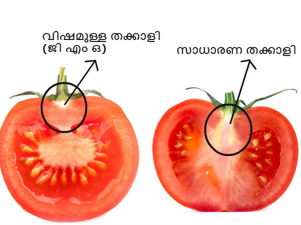 എങ്ങനെ തിരിച്ചറിയാം