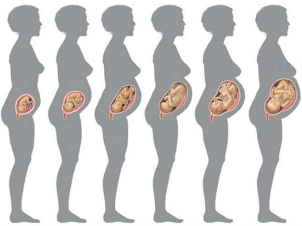  ഹിമോഗ്ലോബിന്‍ അളവ് വര്‍ദ്ധിപ്പിക്കുന്നു