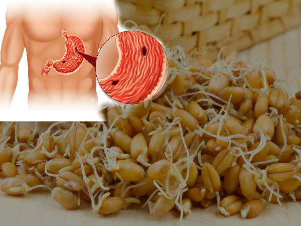 ഉപയോഗിക്കേണ്ട വിധം