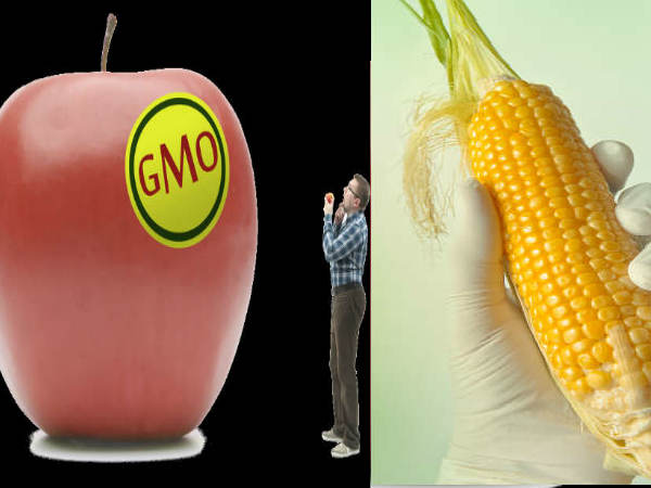 കീടനാശിനികള് കലര്ന്നവയെങ്കില് വൃത്തിയായി കഴുകിയാല് ഒരു പരിധിവരെ വിഷം നീക്കാം. എന്നാല് ജിഎംഒ വിഭാഗത്തില് പെട്ടവയ്ക്ക് ഇങ്ങനെ യാതൊരു പ്രതിവിധിയുമില്ല. വരുംതലമുറയില് കൂടി ജീന് പ്രശ്നങ്ങളും അസുഖങ്ങളും ഉണ്ടാക്കാന് ശേഷിയുള്ളവയാണിവ. കീടനാശിനികള് കലര്ന്നവയെങ്കില് വൃത്തിയായി കഴുകിയാല് ഒരു പരിധിവരെ വിഷം നീക്കാം. എന്നാല് ജിഎംഒ വിഭാഗത്തില് പെട്ടവയ്ക്ക് ഇങ്ങനെ യാതൊരു പ്രതിവിധിയുമില്ല. വരുംതലമുറയില് കൂടി ജീന് പ്രശ്നങ്ങളും അസുഖങ്ങളും ഉണ്ടാക്കാന് ശേഷിയുള്ളവയാണിവ.