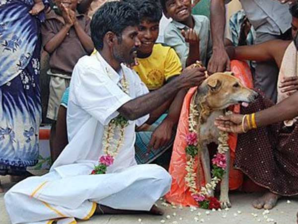 നായയും മനുഷ്യനും