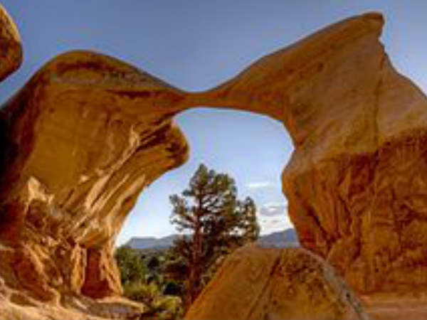  പൊക്കിള്‍ പുറത്തേയ്ക്കു തള്ളിയാണോ, എങ്കില്‍.....