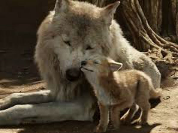  ചെയ്യുന്നതെന്ത്?