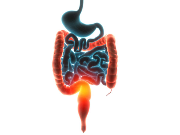  ഉപയോഗിക്കേണ്ട വിധം