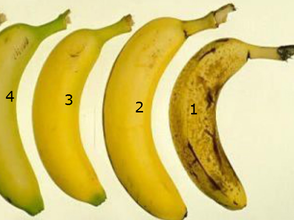 ഇതില്‍ ആദ്യത്തെ പഴമാണോ കഴിയ്ക്കുക, എങ്കില്‍....