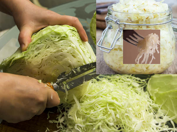 ക്യാബേജ് ക്യാബേജ്