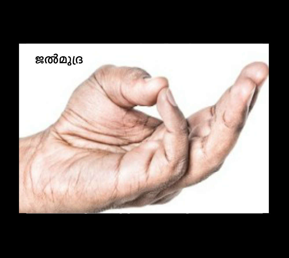 ജല്‍മുദ്ര 