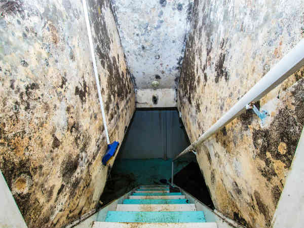 ഉരുളക്കിഴങ്ങു കാരണമായിരുന്നു ആ ദുരന്തം.... ഉരുളക്കിഴങ്ങു കാരണമായിരുന്നു ആ ദുരന്തം....