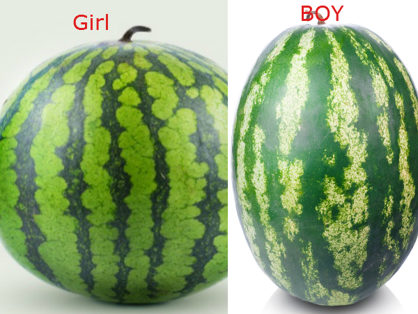 വാങ്ങിയ തണ്ണിമത്തനില്‍ ഇതുണ്ടോ, എങ്കില്‍......