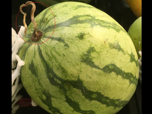 വാങ്ങിയ തണ്ണിമത്തനില്‍ ഇതുണ്ടോ, എങ്കില്‍......