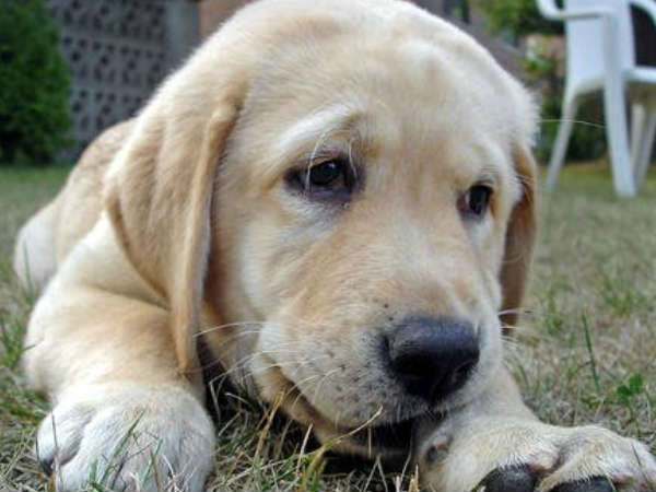 ചെയ്യേണ്ടത് ചെയ്യേണ്ടത്