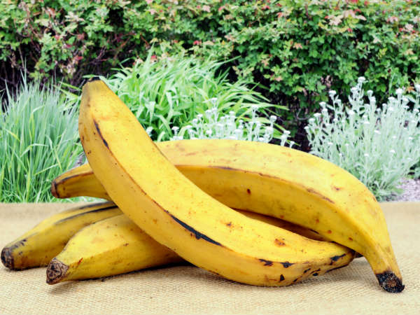 ഏത്തപ്പഴം