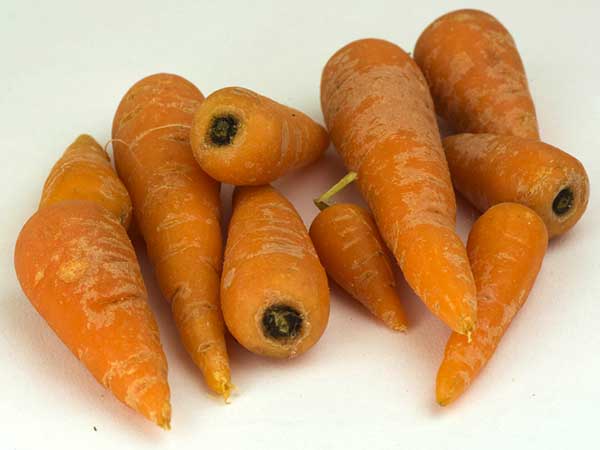 എന്താണ് ബേബി കാരറ്റ് എന്താണ് ബേബി കാരറ്റ്