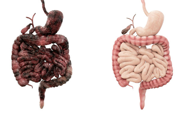 ലോറിക് ആസിഡെന്ന അത്ഭുതം