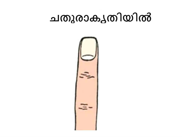 ചതുരാകൃതിയില്‍