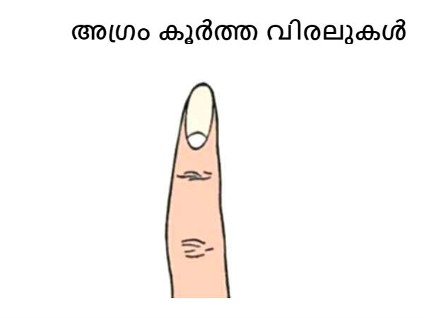 അഗ്രം കൂര്‍ത്ത വിരലുകള്‍