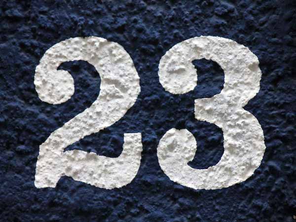 23