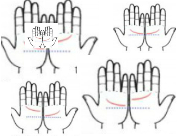 ഹൃദയരേഖ നോക്കി പ്രണയ,വിവാഹം പറയാം