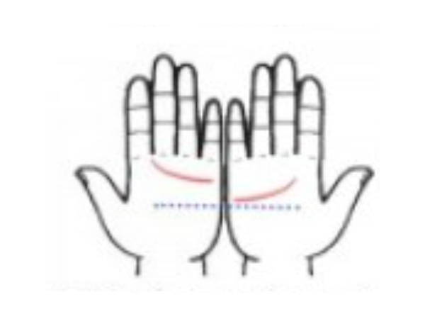 ഹൃദയരേഖ നോക്കി പ്രണയ,വിവാഹം പറയാം