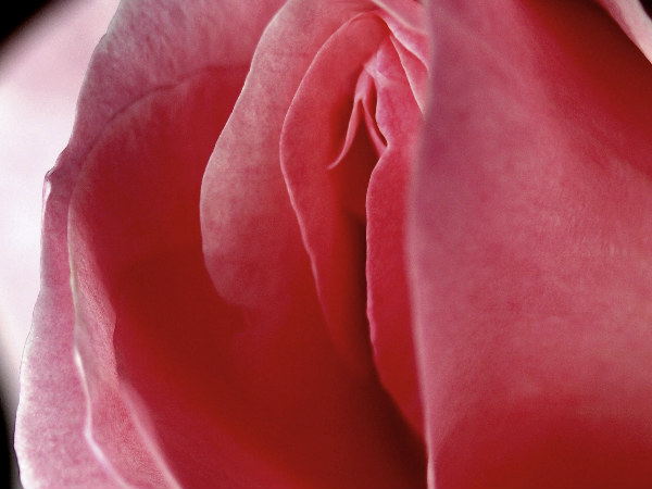 പുരുഷനറിയണം ഈ സ്ത്രീ സെക്സ് രഹസ്യം പുരുഷനറിയണം ഈ സ്ത്രീ സെക്സ് രഹസ്യം