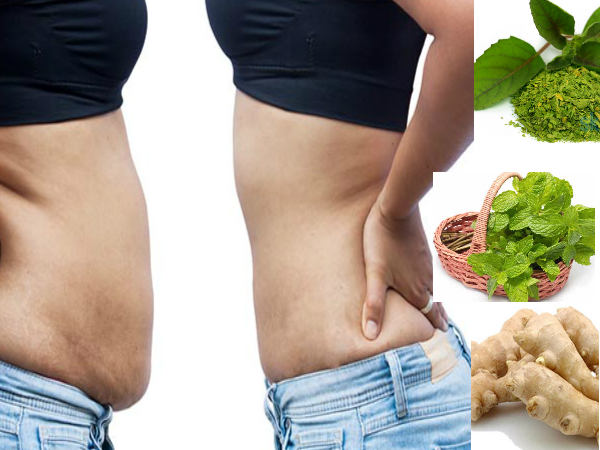 10 ദിവസത്തില് 10 കിലോ കുറയ്ക്കും പാനീയം... 10 ദിവസത്തില് 10 കിലോ കുറയ്ക്കും പാനീയം...