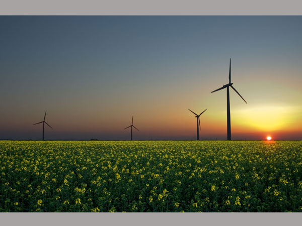 കാലാവസ്ഥാ വ്യതിയാനം