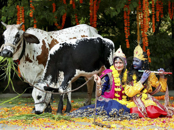 പശുവും പശുകുട്ടിയും