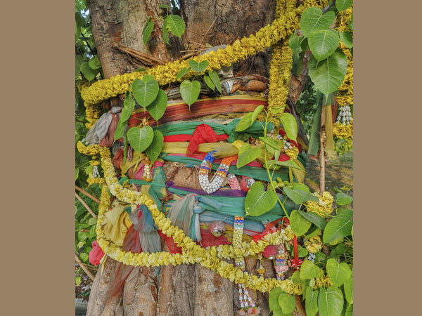 ക്ഷേത്രദര്‍ശനം, ഈ ചിട്ടകള്‍ പ്രധാനം