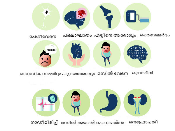  വിശപ്പില്ലാത്ത അവസ്ഥ