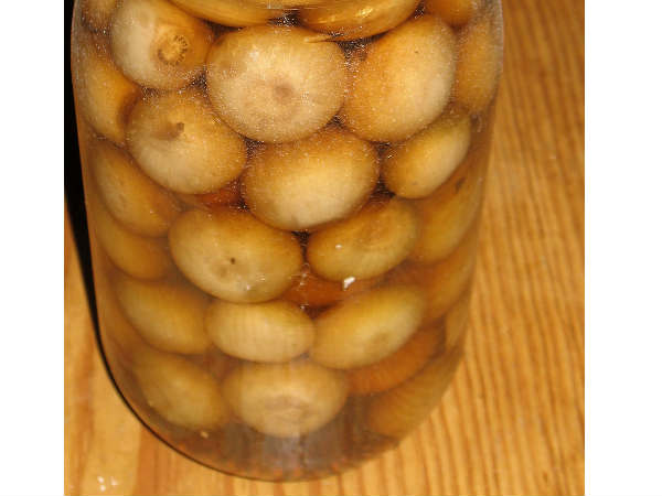 ഉള്ളി ഒരാഴ്ച ഉപ്പിലിട്ടു കഴിച്ചാല്‍....