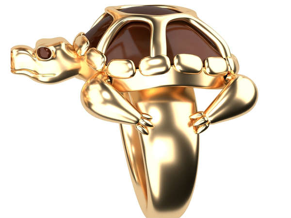 ഭാഗ്യം കൊണ്ടുവരും ആമമോതിരം