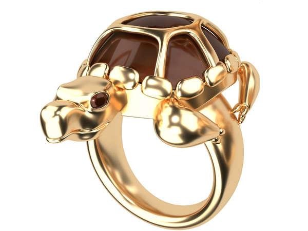 ഭാഗ്യം കൊണ്ടുവരും ആമമോതിരം