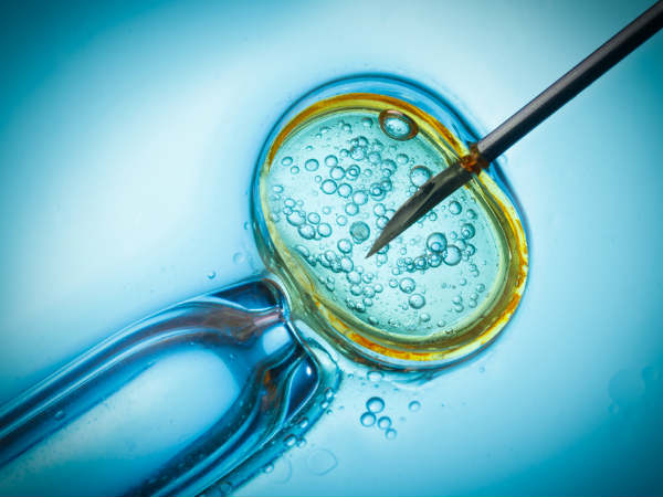 Are IVF Babies As Smart As Other Kids