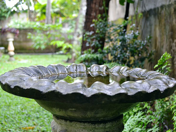 വാസ്തുപ്രകാരം പൂന്തോട്ടം,ധനലാഭം ഫലം