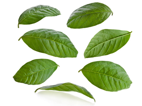 ഉപയോഗിക്കേണ്ടത്