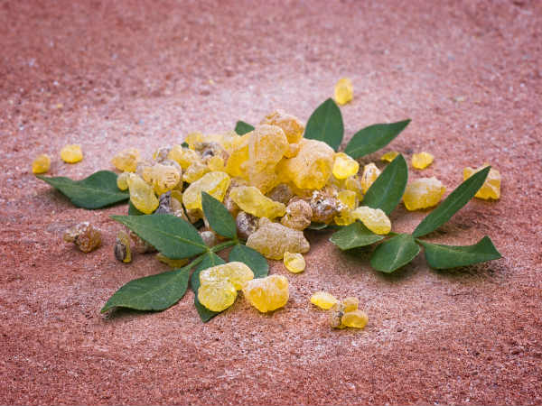 കുന്തിരിക്കം കുന്തിരിക്കം