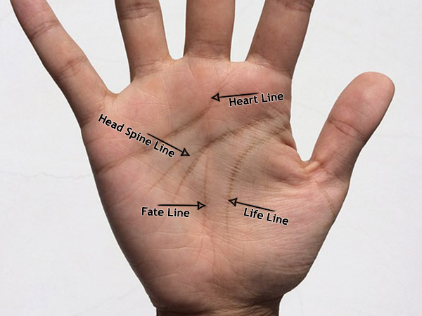 കയ്യിലെ ഈ രേഖ പറയും രഹസ്യം