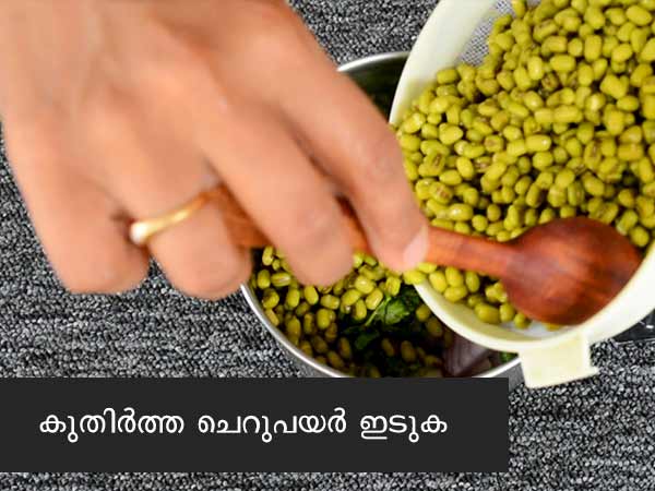 Green Gram Dosa