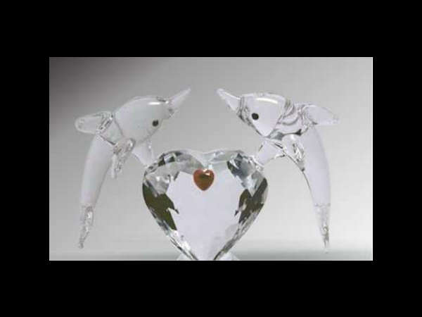 ഡോള്‍ഫിന്‍,മത്സ്യം 