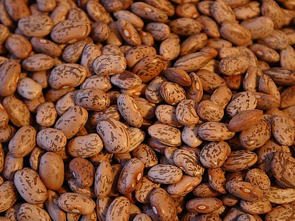  ബീന്‍സ്