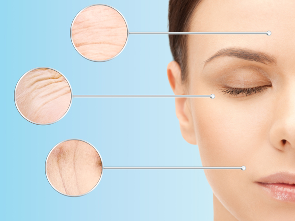 ഇലാസ്റ്റിസിറ്റി