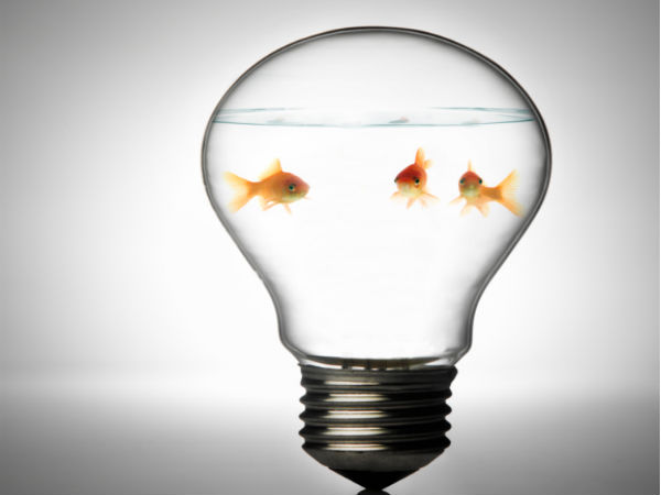 അക്വേറിയം വീട്ടില്‍ വയ്ക്കുമ്പോള്‍ നടക്കുന്നത്...