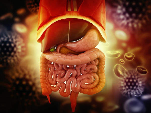 ചെറുകുടല്‍, യൂറിനറി ബ്ലാഡര്‍