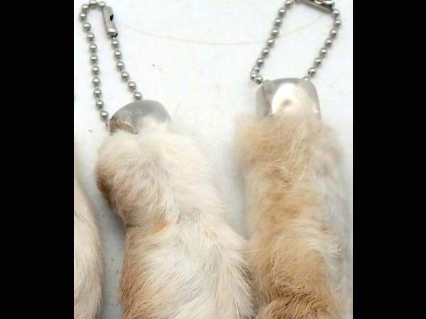  സാജിറ്റേറിയന്‍