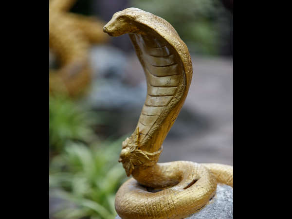 സ്വര്‍ണനാഗത്തെ സ്വപ്‌നം കണ്ടാല്‍ 