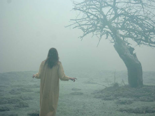 എമിലിയുടെ യഥാര്ത്ഥ പേര് എമിലിയുടെ യഥാര്ത്ഥ പേര്