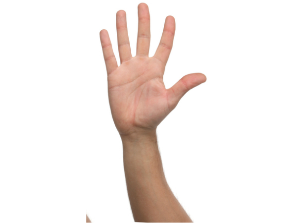 അഞ്ചു വിരലോ അതില്‍ കൂടുതലോ 